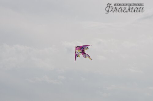 IMGP1255_r